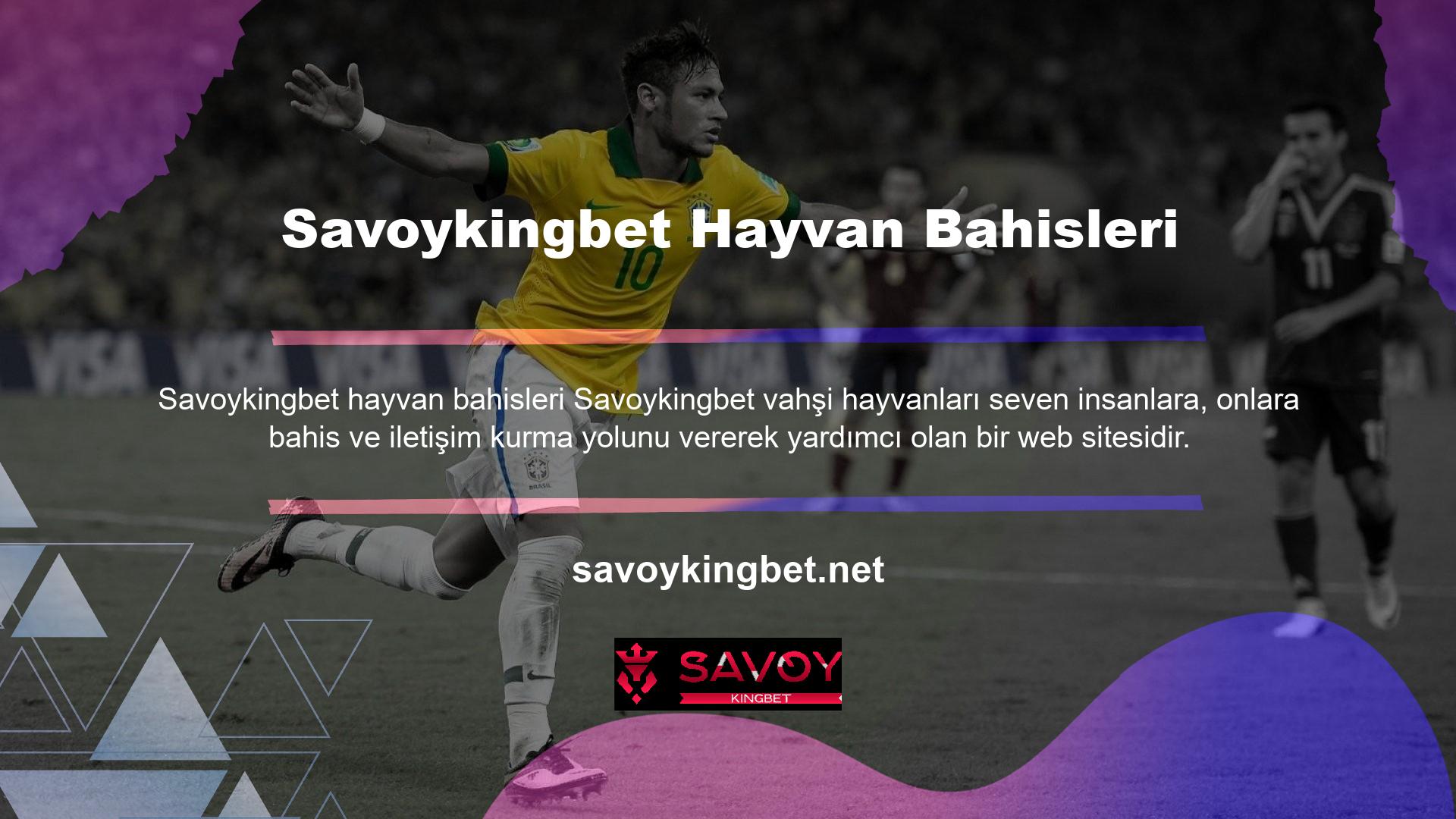 Konumları bulmanın ve bahis yapmanın birçok yeni yolu nedeniyle oyun ortamı bahis meraklıları için daha keyifli